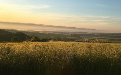 Rural Plains Landscape