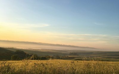 Rural Plains Landscape